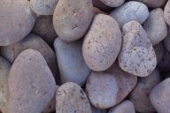 piedra de mar mediana