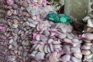 piedra-varios-tamaños